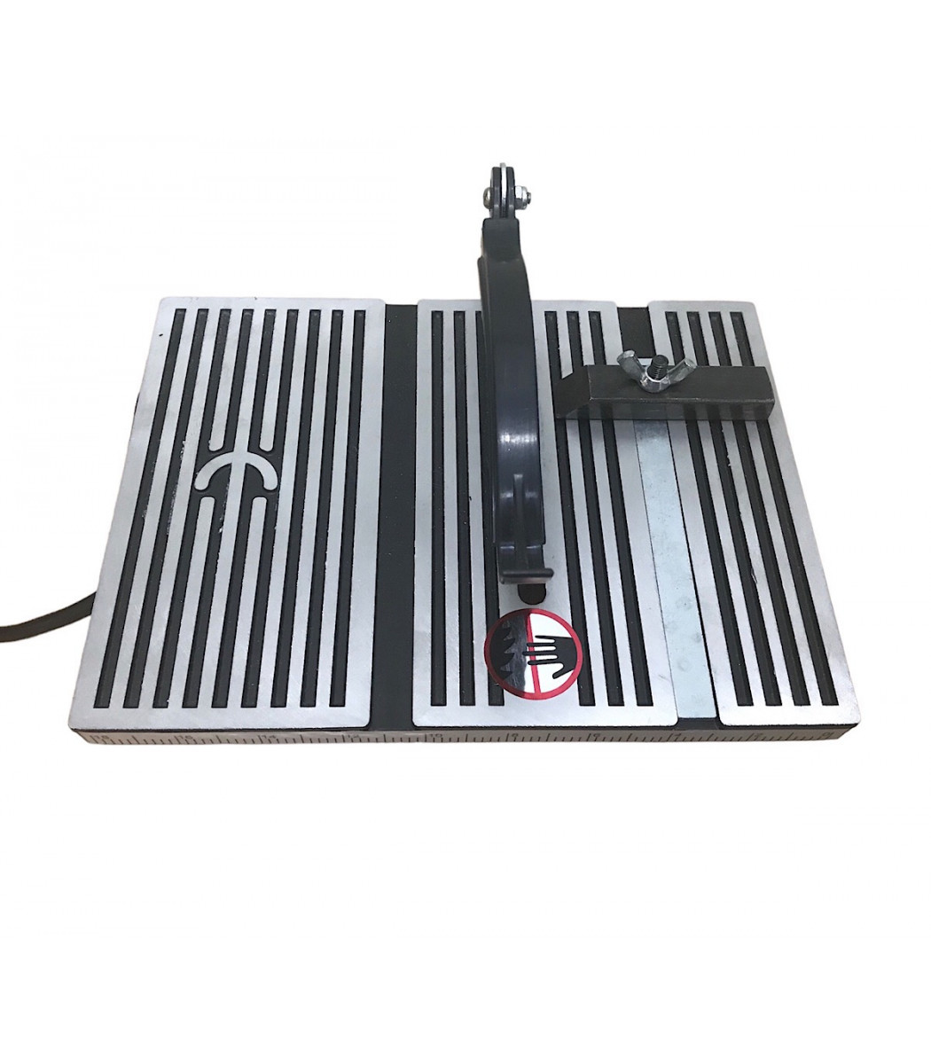 ریز اره دیسکی دبلیو اس ۱۰۰